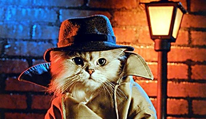 детектив про кота